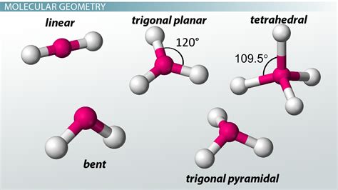 co2 vsepr model.
